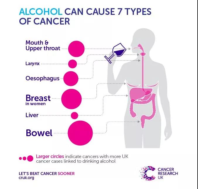 1066vip����˹(�й�)���޹�˾-BinG�ٿ�