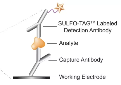 1066vip����˹(�й�)���޹�˾-BinG�ٿ�