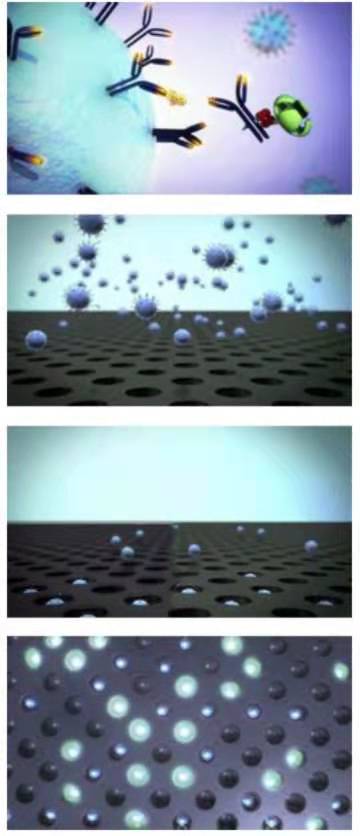 1066vip����˹(�й�)���޹�˾-BinG�ٿ�