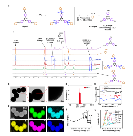 1066vip����˹(�й�)���޹�˾-BinG�ٿ�