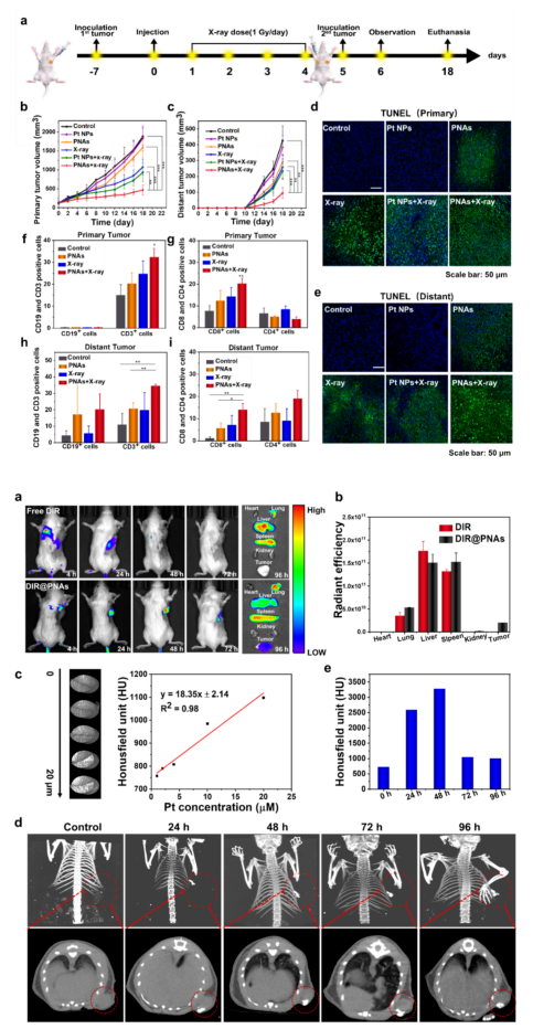 1066vip����˹(�й�)���޹�˾-BinG�ٿ�