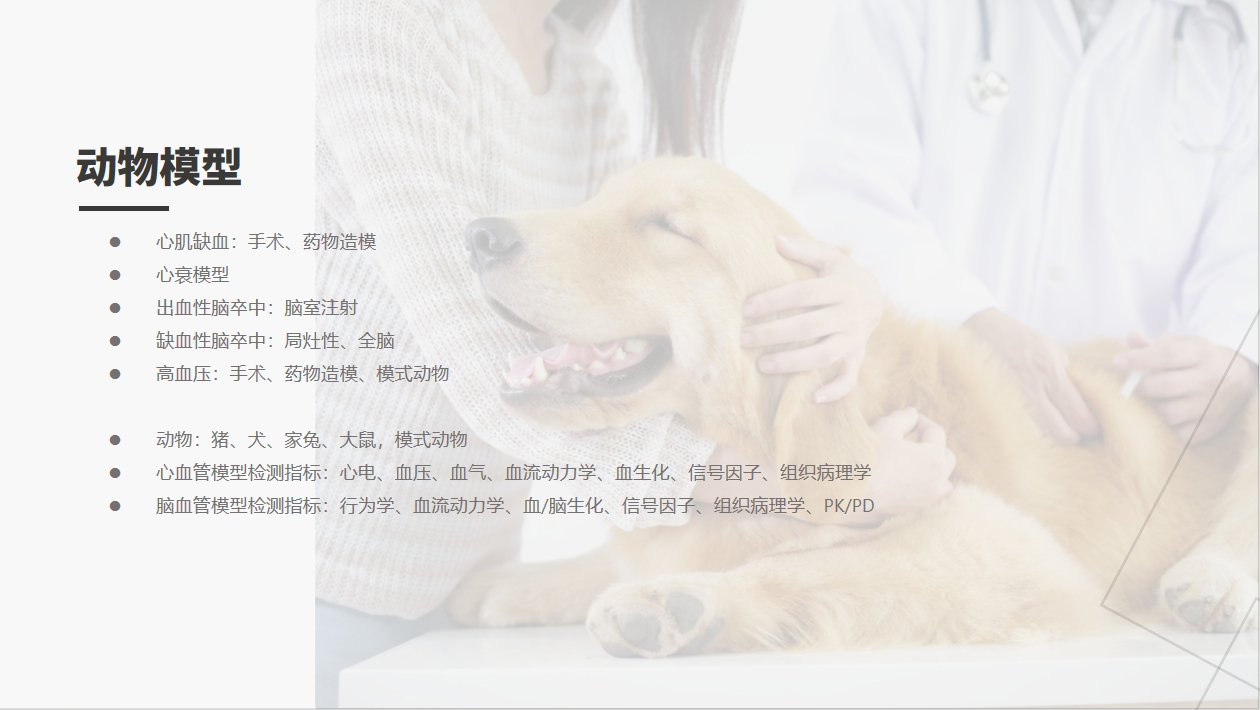 1066vip����˹(�й�)���޹�˾-BinG�ٿ�