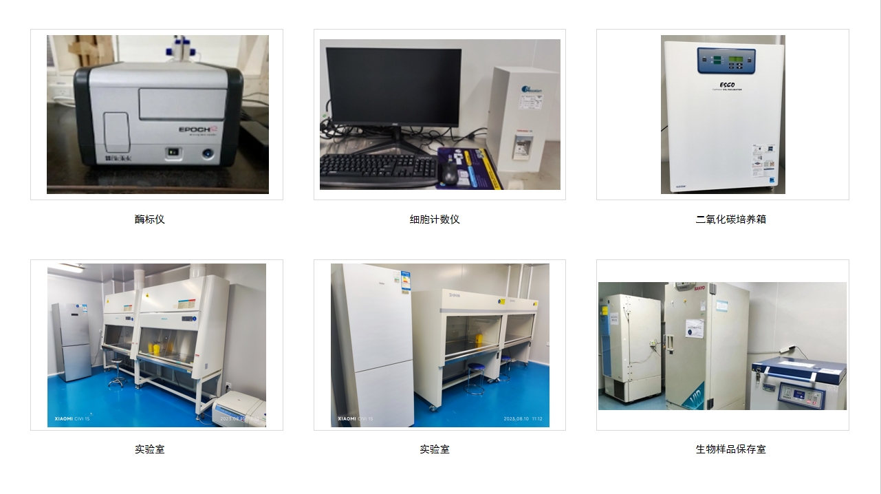 1066vip����˹(�й�)���޹�˾-BinG�ٿ�