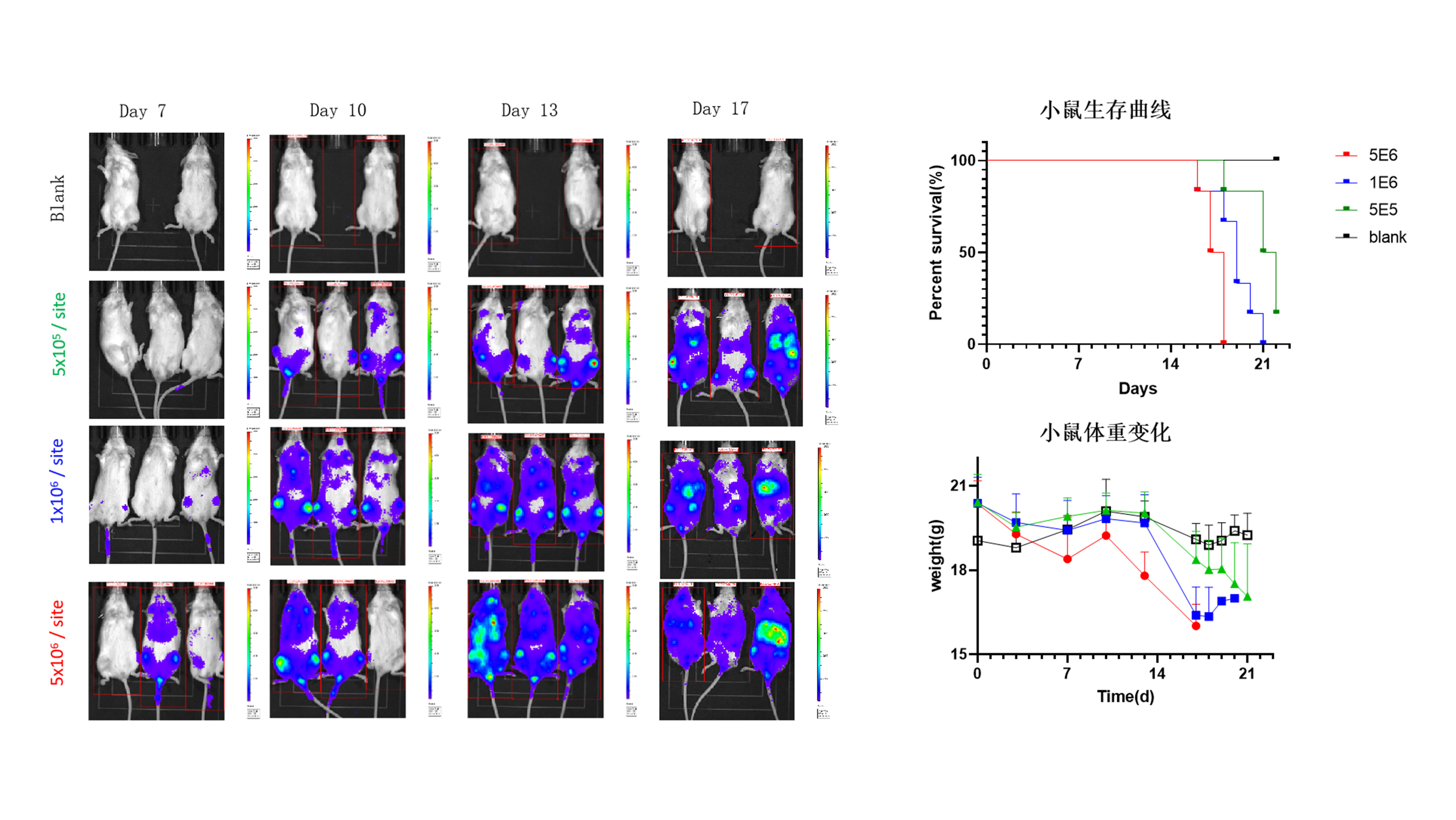 �������ܰ���ԭλ��ģ��